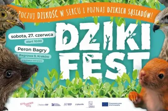 Plakat promujący festiwal Dzikiego Festu z datą, godziną i lokalizacją w Krakowie.