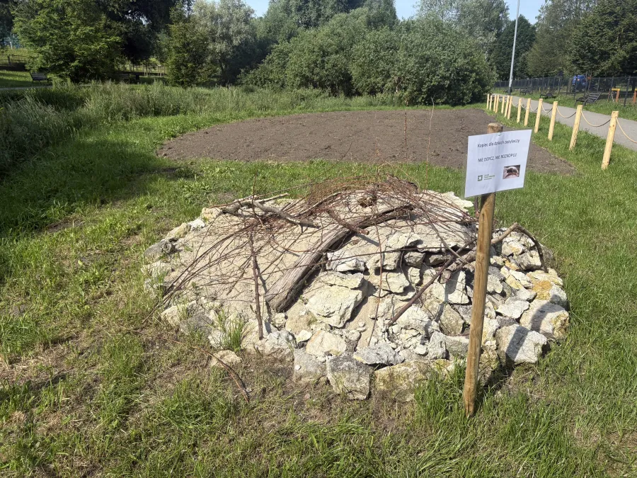 Kamienna konstrukcja z gałęziami, obok tablica informacyjna w zielonym otoczeniu.