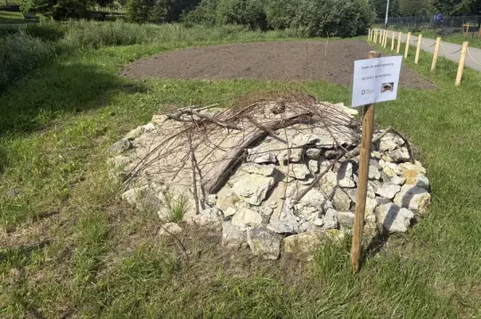 Kamienna konstrukcja z gałęziami, obok tablica informacyjna w zielonym otoczeniu.