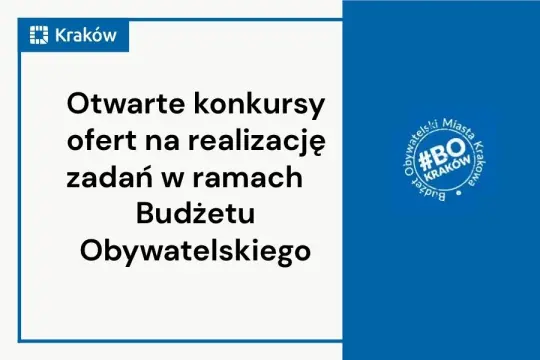 Informacja o priorytetowych zadaniach publicznych