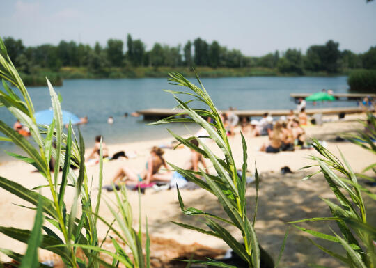 Linie sezonowe na ulicach Krakowa – rozkład jazdy na weekend