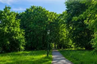 Rewitalizacja Parku Decjusza
