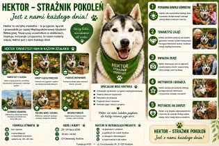 NA zdjęciu opisana jest historia Hektora, strażnika pokoleń