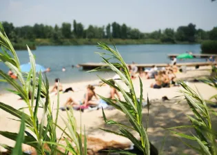 Plaża nad rzeką z ludźmi odpoczywającymi na piasku i zielonymi roślinami w pierwszym planie.