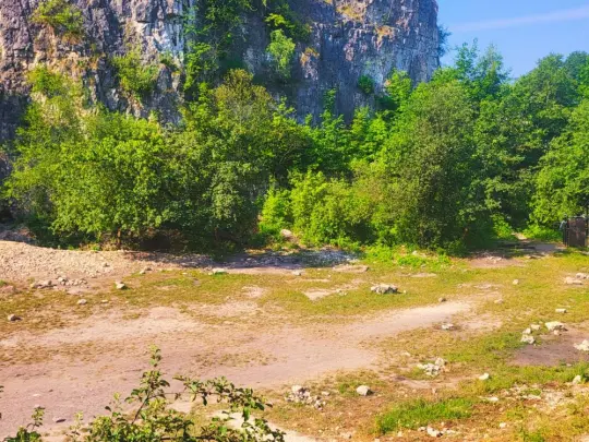 Likwidacja strefy grillowej w Parku Zakrzówek