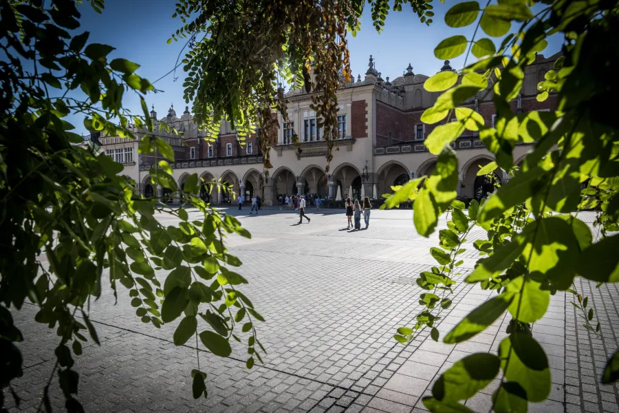 Krakowski rynek z widokiem na Sukiennice, otoczony zielenią.