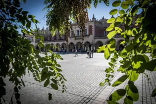 Krakowski rynek z widokiem na Sukiennice, otoczony zielenią.