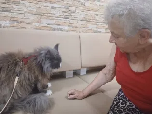 Starsza kobieta rozmawia z kotem na kanapie.