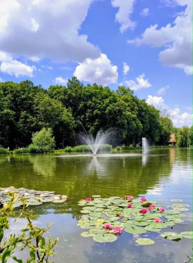 Staw z fontannami i liliami wodnymi, otoczony zielonymi drzewami i błękitnym niebem.