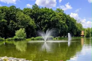 Staw z fontannami i liliami wodnymi, otoczony zielonymi drzewami i błękitnym niebem.