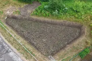 Pole uprawne z młodymi roślinami otoczone zielenią i drogą.