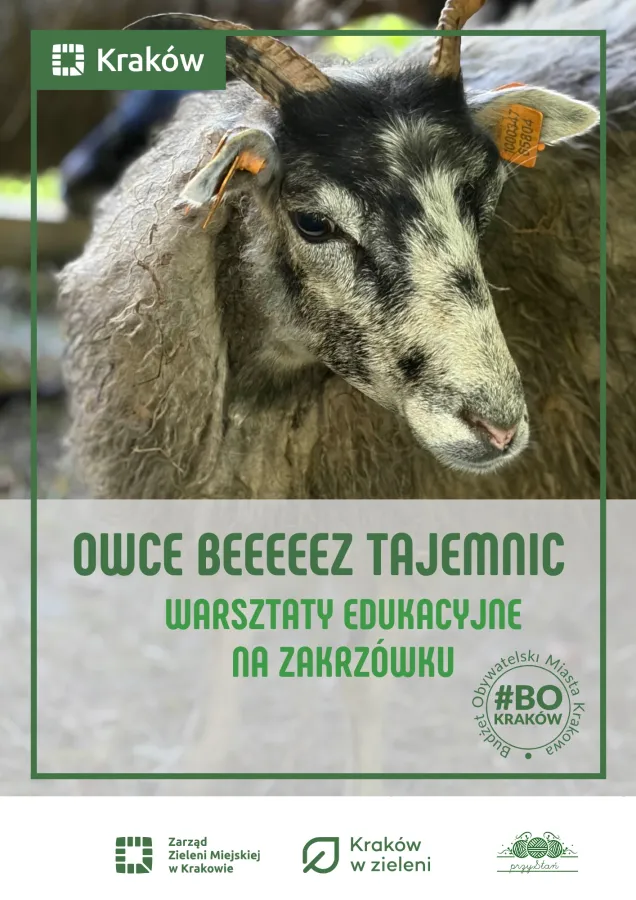 grafika na warsztaty na Zakrzówku
