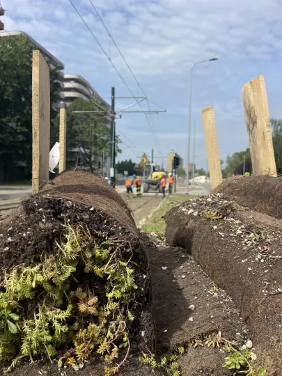 Tramwaj do Mistrzejowic: torowisko już w rozchodniku