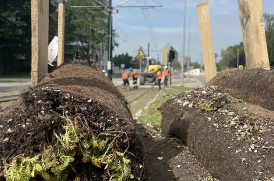 tramwajdomistrzejowic.pl