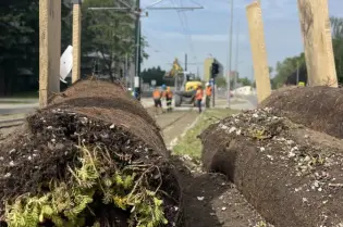 tramwajdomistrzejowic.pl