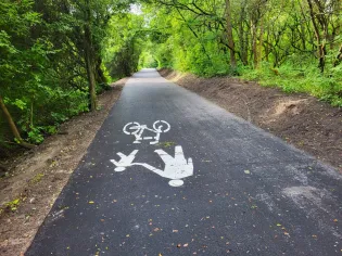 Ścieżka rowerowa z namalowanymi symbolami rowerzysty i pieszego.