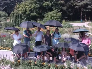 Czarny parasol