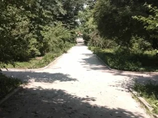 chodnik