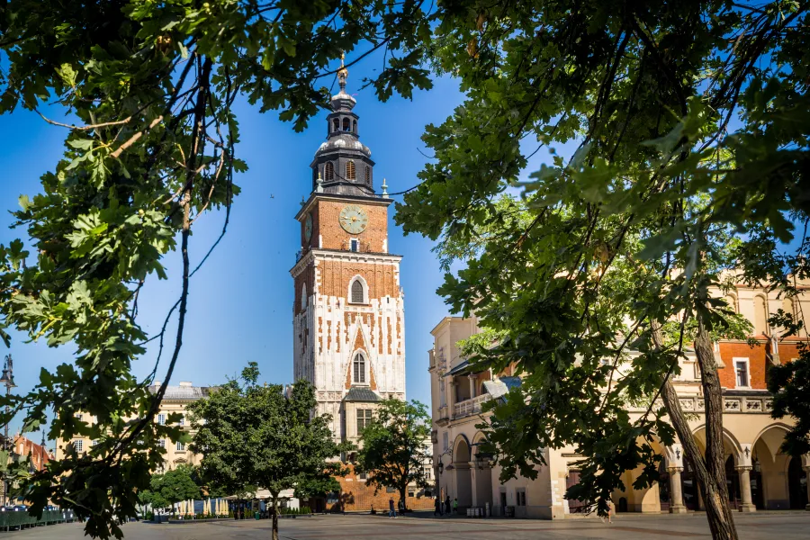 Zegarowa wieża w centrum miasta otoczona zielenią drzew.