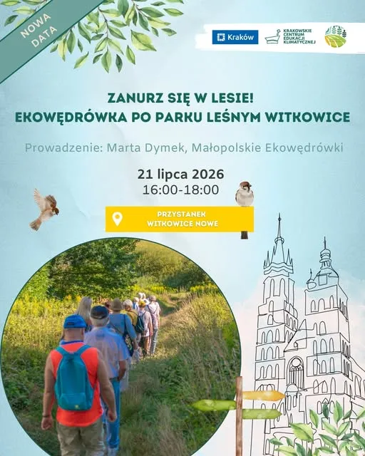 Zanurz się w lesie plakat
