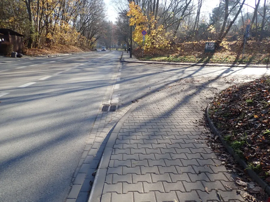 Droga z chodnikiem, otoczona drzewami i opadłymi liśćmi, w słoneczny dzień.