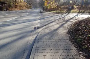 Droga z chodnikiem, otoczona drzewami i opadłymi liśćmi, w słoneczny dzień.