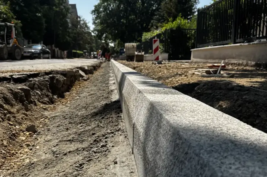 Krawężnik na nowo budowanej drodze, otoczony ziemią i drzewami.