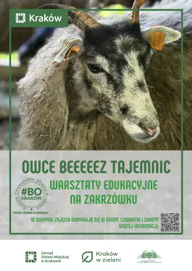 plakat zapraszający na warsztaty