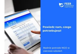 Formularz ankiety dotyczący potrzeb NGO w zakresie szkoleń.