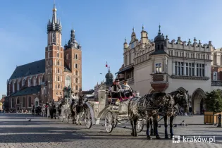 Konie w zaprzęgu na krakowskim rynku z widokiem na Kościół Mariacki.