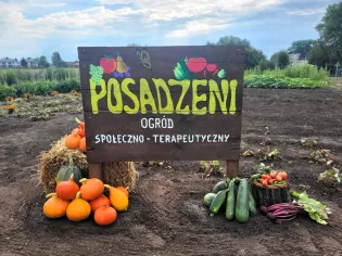 Ogród terapeutyczny z napisem "POSADZENI", warzywa i dekoracyjne dynie.
