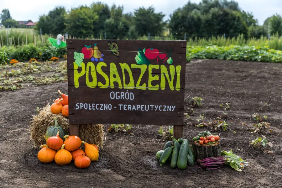 Ogród terapeutyczny z tablicą informacyjną i warzywami.