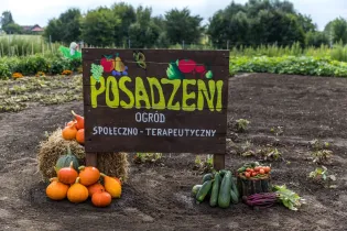 Ogród terapeutyczny z tablicą informacyjną i warzywami.