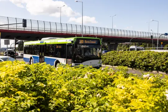 Ostatni weekend wakacji. Tak będą kursować linie rekreacyjne