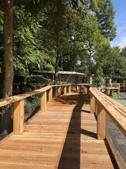 Kładka wśród koron drzew otwarta. Nowa atrakcja w krakowskim zoo