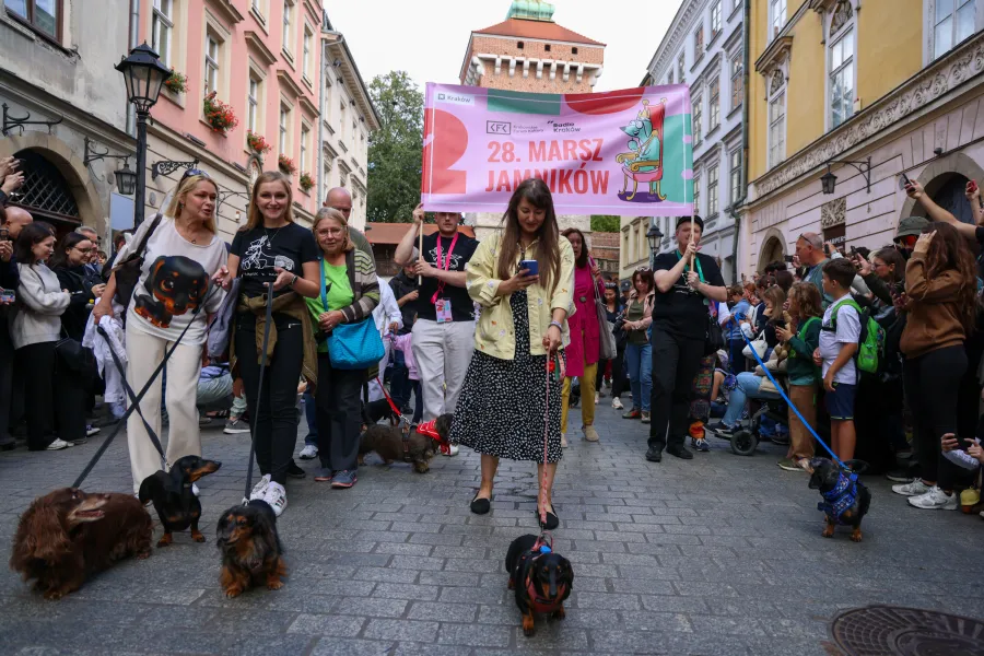 Marsz jamników z uczestnikami i psami na ulicy, kolorowe budynki w tle.