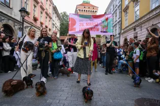 Marsz jamników z uczestnikami i psami na ulicy, kolorowe budynki w tle.
