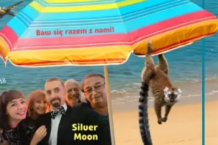 Plakat wydarzenia w Krakowie z informacjami o koncertach i atrakcjach, datą i miejscem.