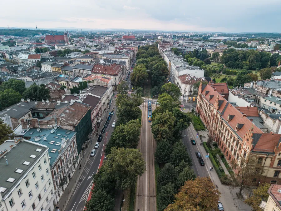 Widok na ulicę z drzewami i zabudową miejską.