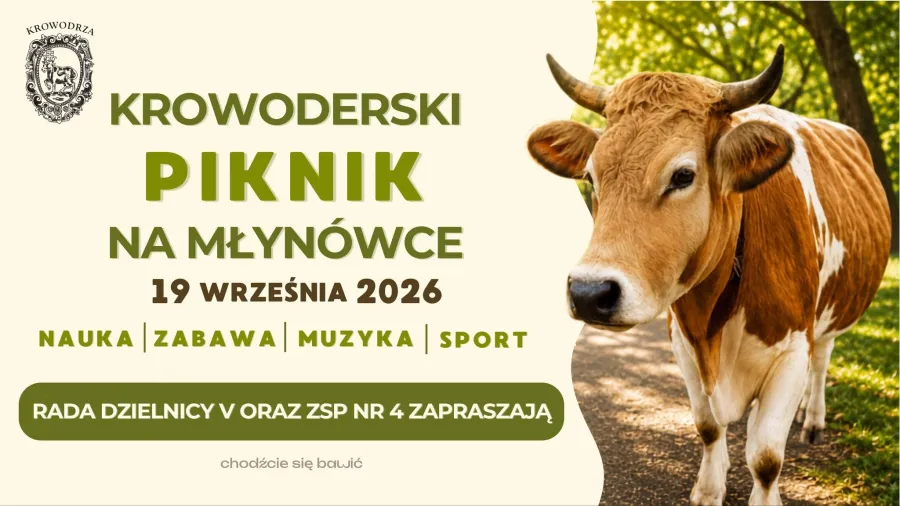 Krowa na tle plakatu zapraszającego na piknik w Krowodrzy.