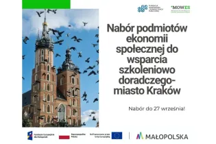 bezpłatne wsparcie dla podmiotów ekonomii społecznej z Krakowa