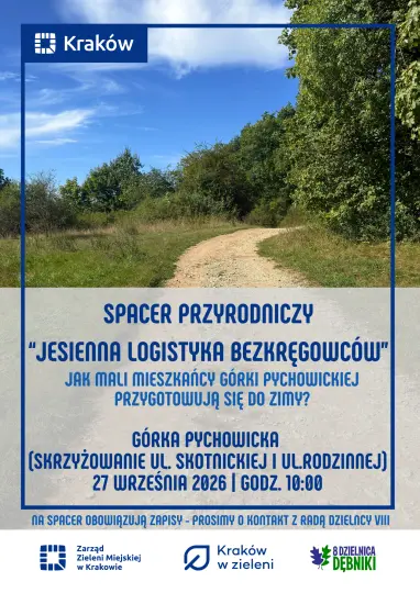 Jesienna logistyka bezkręgowców. Weź udział w spacerze przyrodniczym