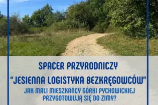 Spacer przyrodniczy w Krakowie, temat: Jesienna logistyka bezkręgowców, 27 września 2023.