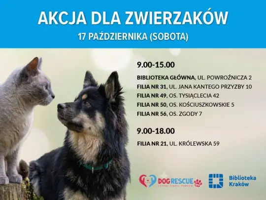 Książka za pomoc dla zwierząt. Biblioteki organizują zbiórkę