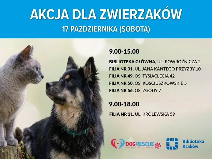 Akcja dla zwierzaków w Krakowie, 17 października, godziny i lokalizacje bibliotek.
