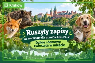 „Dzikie i domowe zwierzęta w mieście”