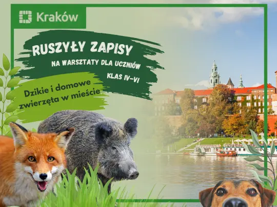 Trwają zapisy na warsztaty dla uczniów klas IV–VI szkół podstawowych „Dzikie i domowe zwierzęta w mieście”