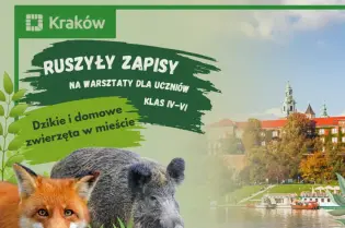 Dzikie i domowe zwierzęta w mieście”