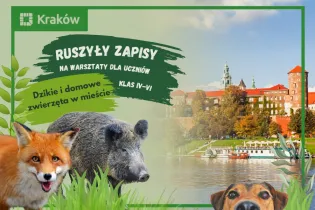 warsztaty
