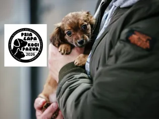 Mały piesek trzymany w ramionach, z logo akcji adopcyjnej obok.